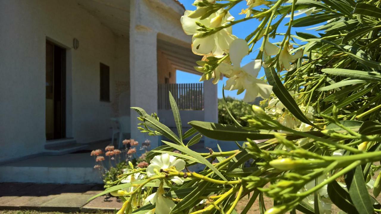 Villa Singola Valledoria  Exteriör bild